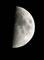 Moon - Photo Brian Farrell - Tuttiwebs